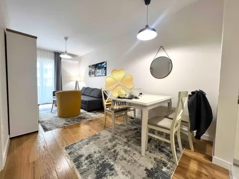 Izdavanje, jednosoban stan, 47m², Central Point, Podgorica - image 2