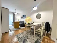 Izdavanje, jednosoban stan, 47m², Central Point, Podgorica - image 2