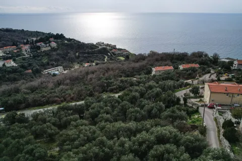Pogled iz vazduha na obalu i okolni krajolik sa morem u pozadini. - image 4