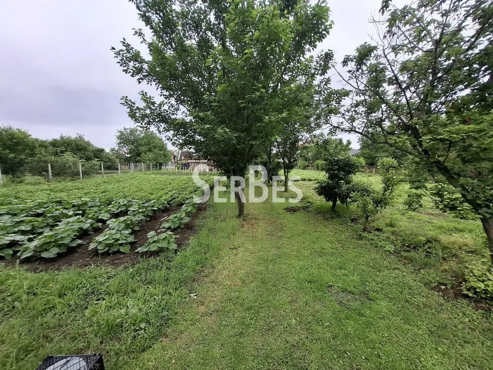 Sale, house, 357m², Kovilj, Novi Sad Sve Podlokacije