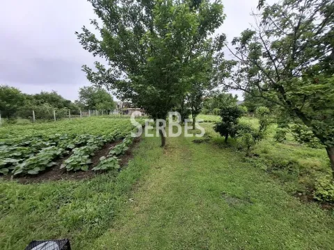 Sale, house, 357m², Kovilj, Novi Sad Sve Podlokacije - image 10