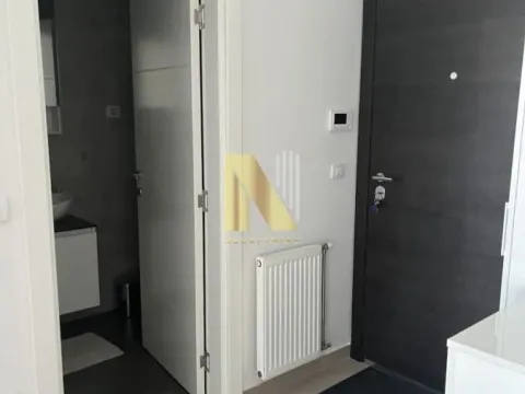 Rent, two bedroom apartment, 45m², Salajka, Novi Sad Sve Podlokacije - image 13