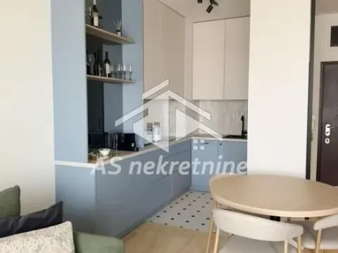 Izdavanje, dvosoban stan, 45m², Stari Grad, Beograd - image 6