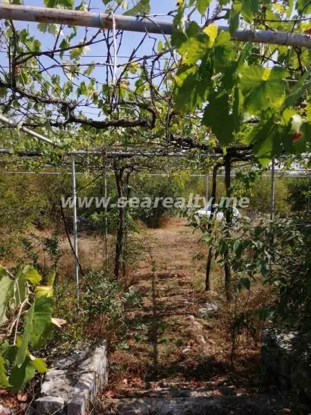 Prodaja, plac, 45844m², Brežine, Podgorica