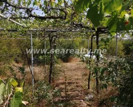 Sale, land lot, 45800m², Brežine, Podgorica - image 8