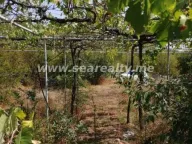 Sale, land lot, 45800m², Brežine, Podgorica - image 8