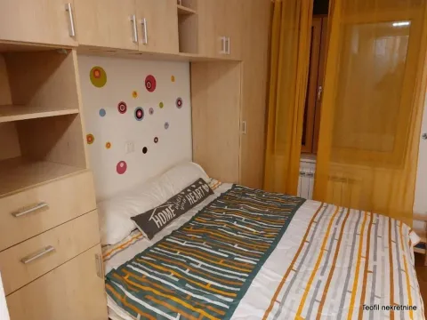 Izdavanje, dvosoban stan, 51m², Zemun Sve Podlokacije, Beograd - image 9