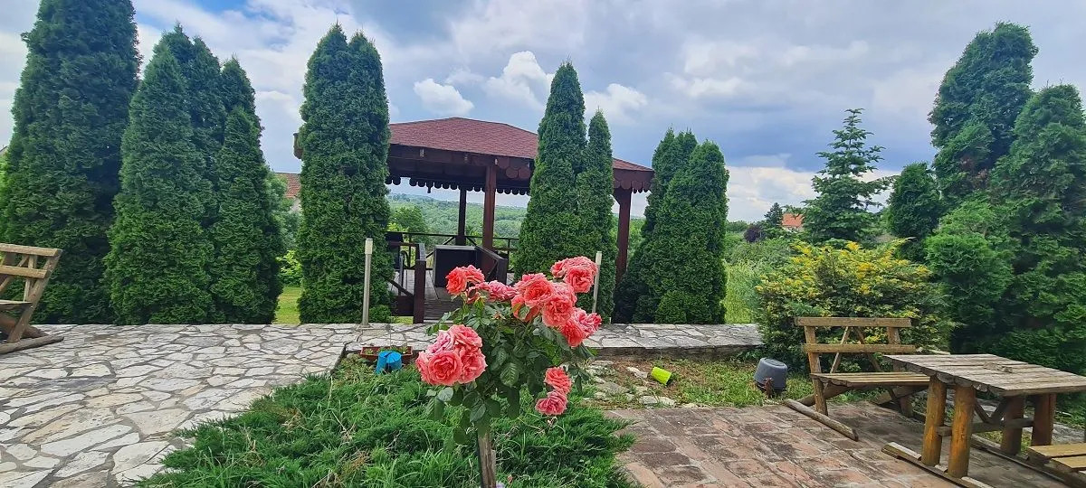 Sale, house, 311m², Voždovac Sve Podlokacije, Beograd