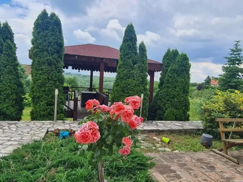 Sale, house, 311m², Voždovac Sve Podlokacije, Beograd - image 2