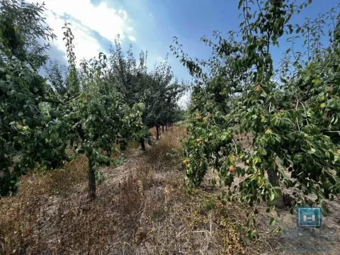 Sale, house, 65m², Kovačevac, Jagodina - image 24