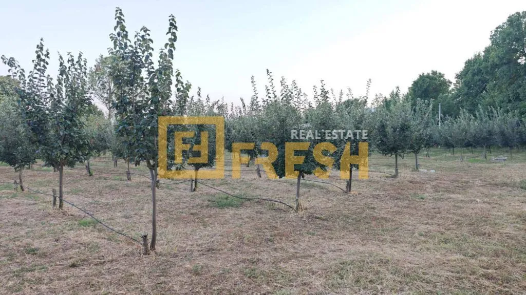 Prodaja, plac, 3800m², Danilovgrad, Crna Gora