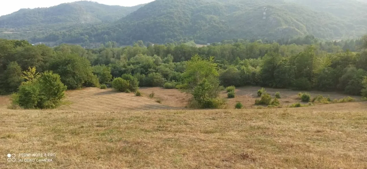Prodaja, plac, 15000m², Plana, Kolašin