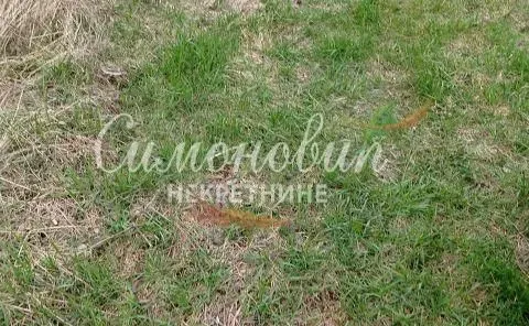 Prodaja, plac, 2200m², Sopot, Beograd - image 2