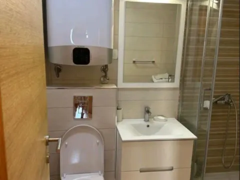 Izdavanje, jednosoban stan, 50m², Ljubović, Podgorica - image 12