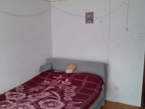 Prodaja, kuća, 120m², Rakovac, Novi Sad Sve Podlokacije - image 6