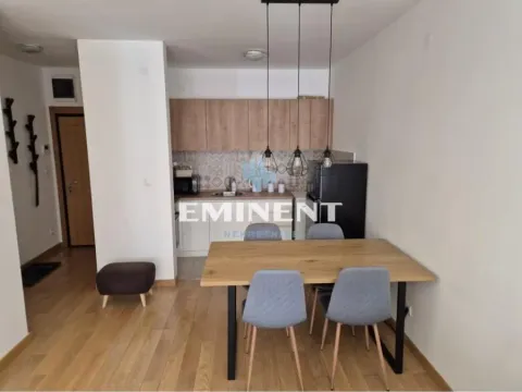 Izdavanje, dvosoban stan, 50m², Južni Bulevar, Vračar Sve Podlokacije - image 2