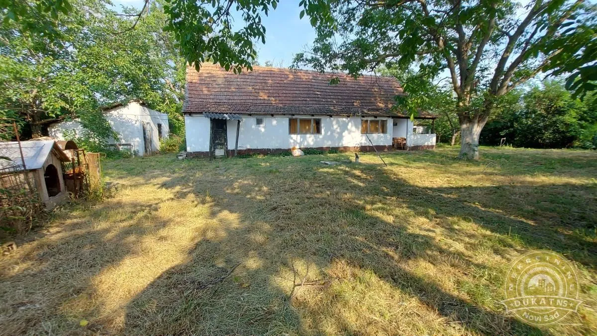 Sale, house, 75m², Čenej, Novi Sad Sve Podlokacije