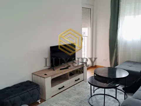 Izdavanje, jednosoban stan, 45m², Zabjelo, Podgorica - image 8