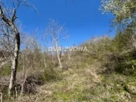 Prodaja,  zemljište, 46m2, Čortanovci, Inđija