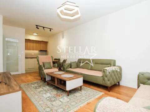 Izdavanje, jednosoban stan, 49m², Central Point, Podgorica - image 4