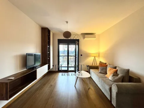 Rent, one bedroom apartment, 49m², Ljubović, Podgorica - image 2