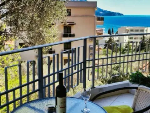 Izdavanje, garsonjera, 32m², Bečići, Budva - image 2