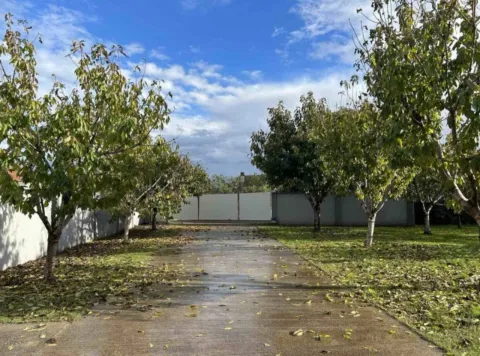 Yard with a pathway, trees, and lawn. - image 7