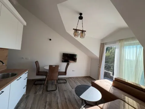 Rent, one bedroom apartment, 40m², Gradiošnica, Tivat - image 11