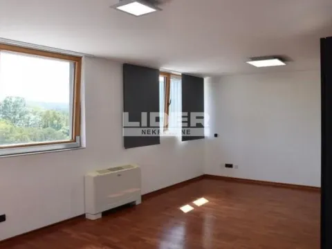 Izdavanje, kuća, 400m², Savski Venac, Beograd - image 7