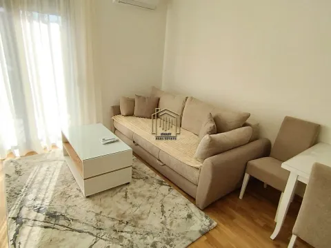 Rent, one bedroom apartment, 40m², Zabjelo, Podgorica - image 2