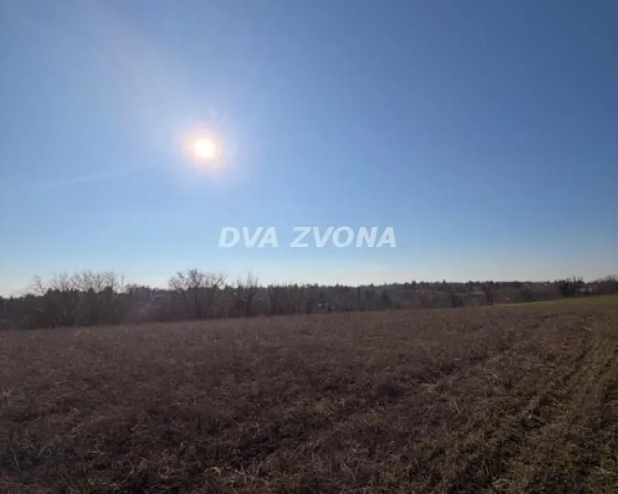 Prodaja, plac, 1000m², Čortanovci, Inđija