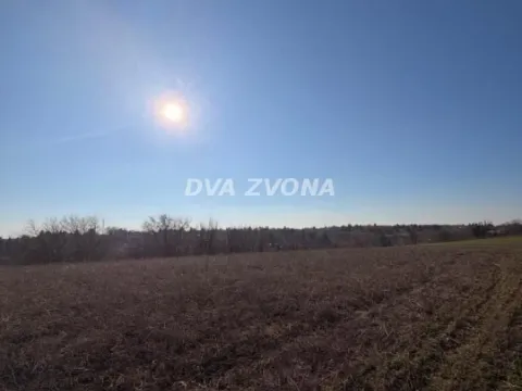 Zemljište in Čortanovci