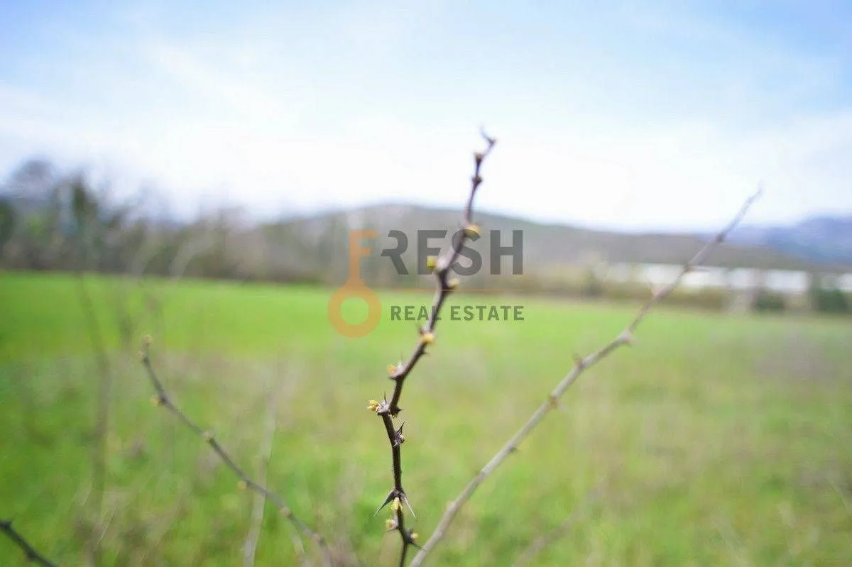 Prodaja, plac, 7628m², Danilovgrad, Crna Gora