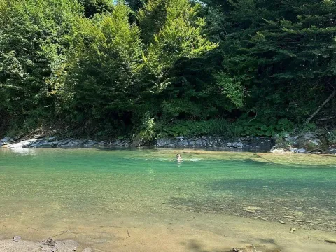 Prodaja, plac, 600m², Kolašin, Crna Gora - image 5