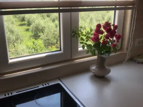 Prodaja, kuća, 900m², Lješevići, Kotor - image 8