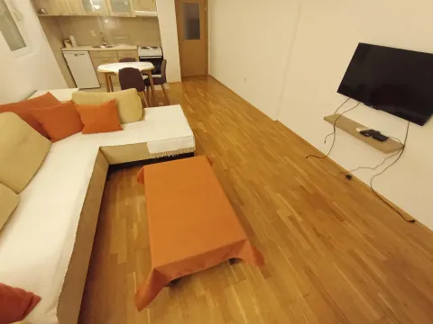 Rent, one bedroom apartment, 51m², Ljubović, Podgorica - image 11