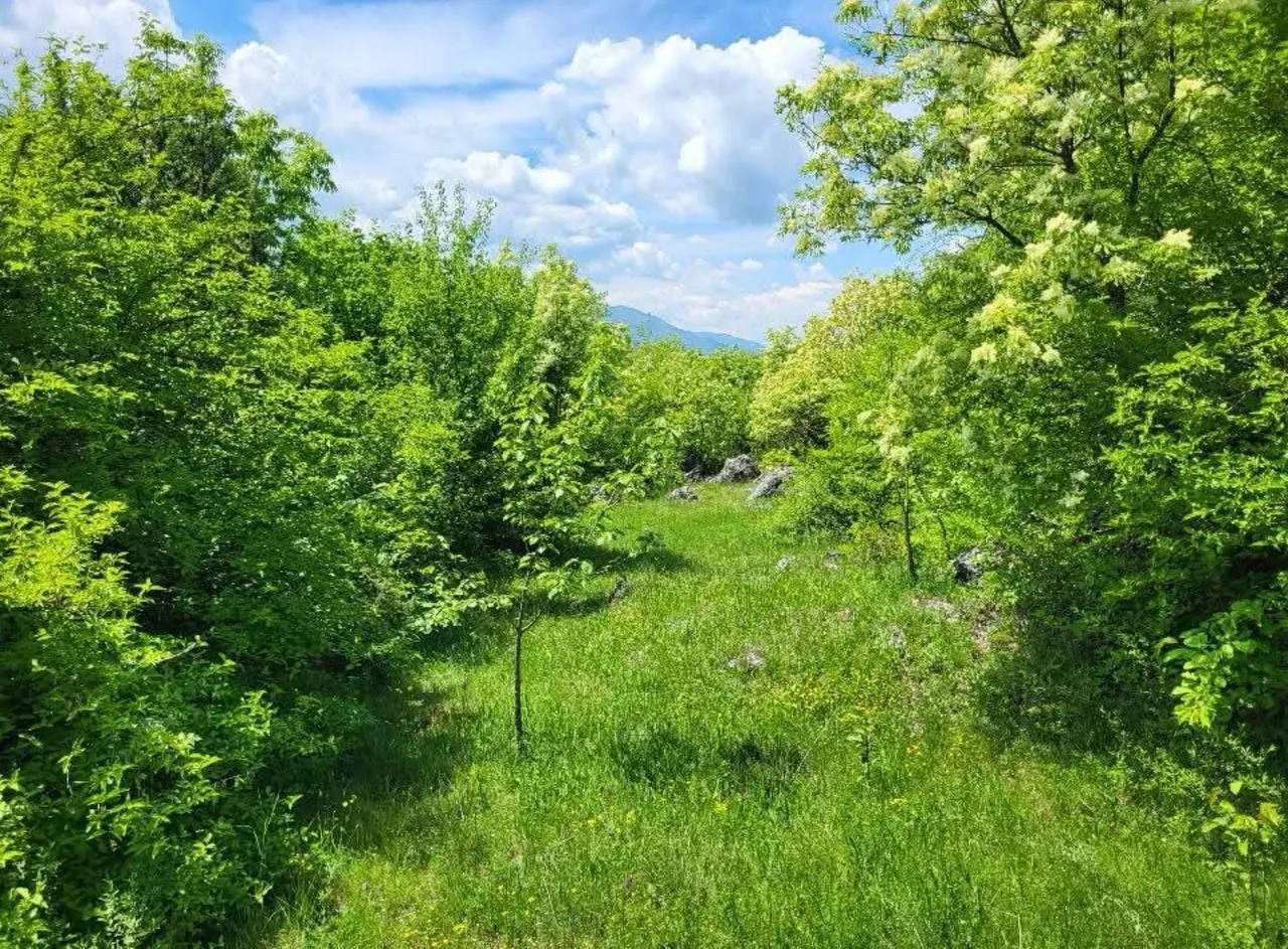 Prodaja, plac, 160000m², Centar, Nikšić