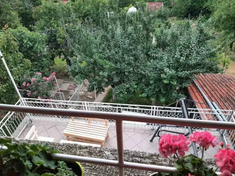 Prodaja, kuća, 210m², Sremska Kamenica, Petrovaradin - image 7