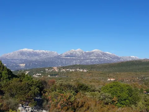 Prodaja, plac, 4150m², Herceg Novi, Crna Gora - image 9