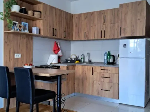 Izdavanje, garsonjera, 29m², Ljubović, Podgorica - image 8