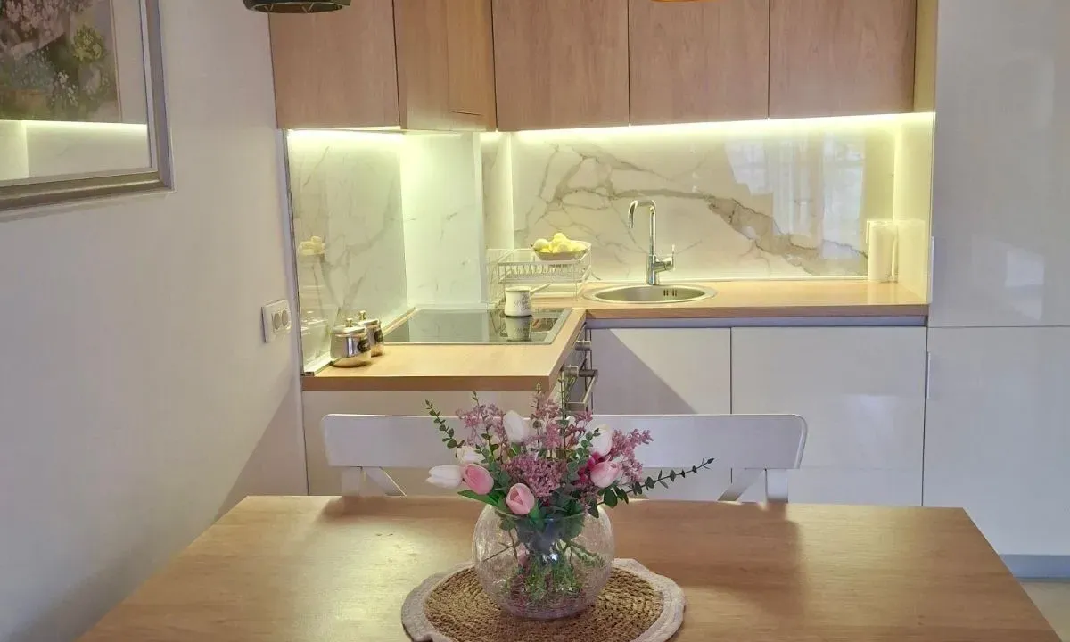 Rent, one bedroom apartment, 48m², Ljubović, Podgorica