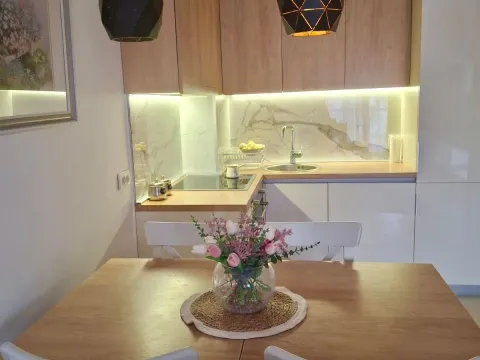 Rent, one bedroom apartment, 48m², Ljubović, Podgorica - image 1