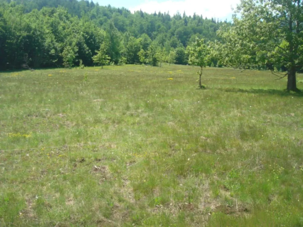 Prodaja, plac, 105000m², Seljani, Plužine