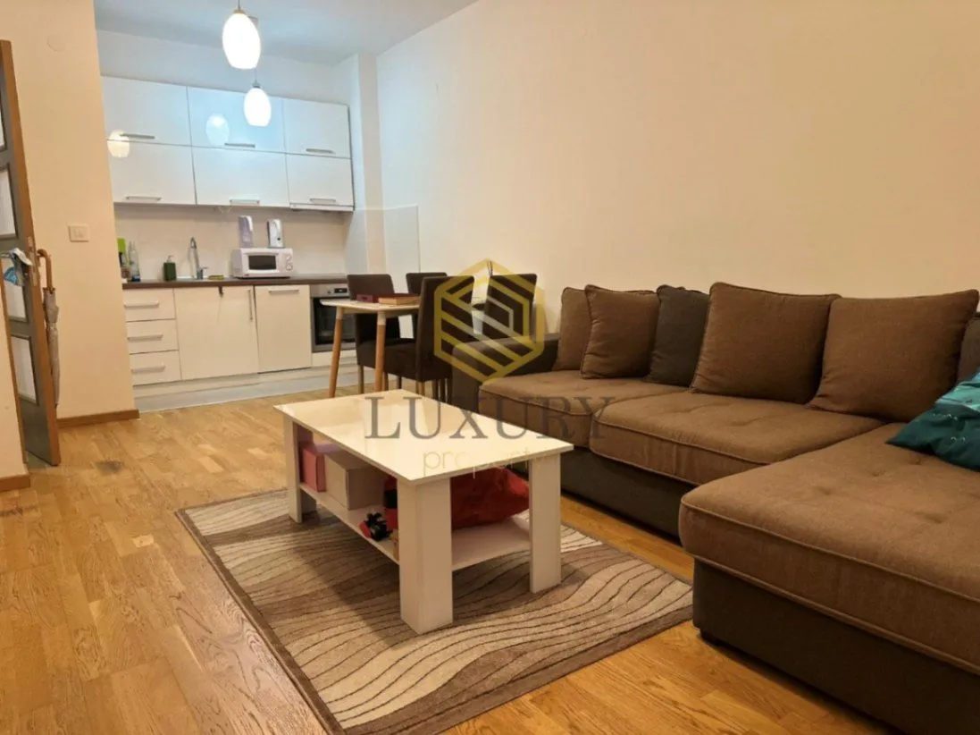 Izdavanje, jednosoban stan, 45m², Stari Aerodrom, Podgorica