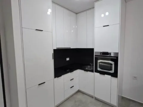 Izdavanje, jednosoban stan, 46m², Stari Aerodrom, Podgorica - image 4