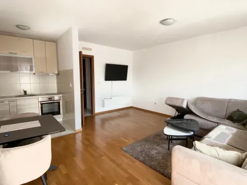 Rent, studio apartment, 40m², Tološka šuma, Podgorica - image 2