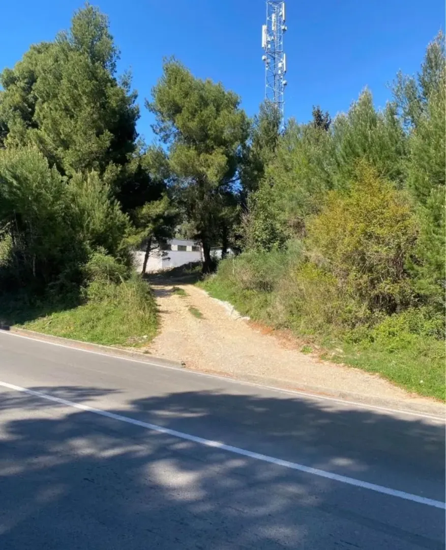 Prilazni put i eksterijer okružen zelenilom.