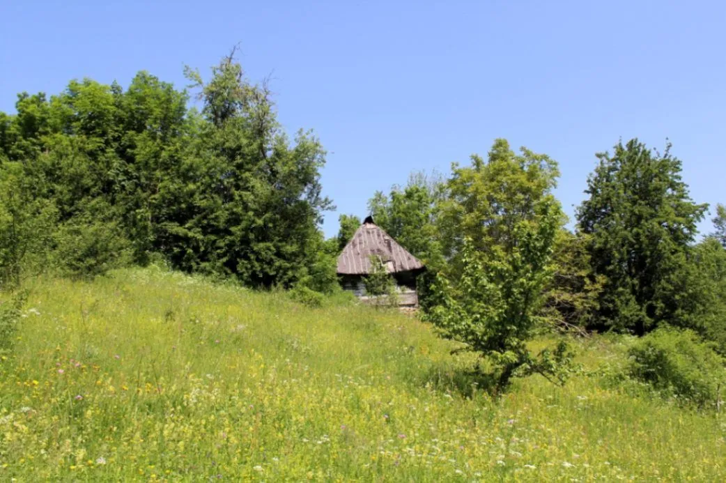Prodaja, plac, 89208m², Padež, Kolašin