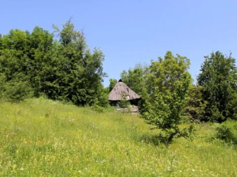 Prodaja, plac, 89208m², Padež, Kolašin - image 6