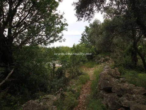 Prodaja, plac, 2600m², Reževići, Budva - image 5